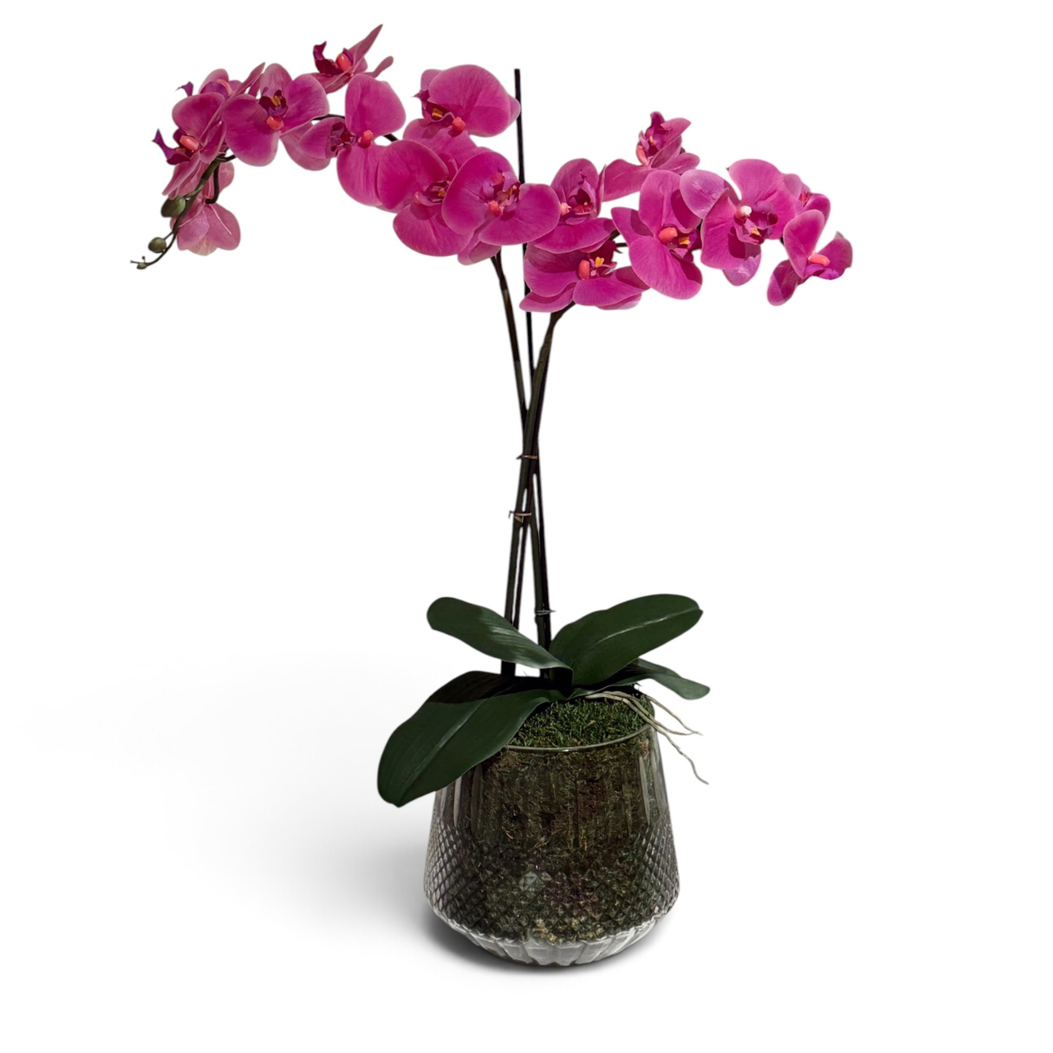 Orquídea Magenta base cristal cortado
