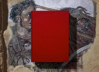 Fausto & Felice Niccolini. Houses and Monuments of Pompeii