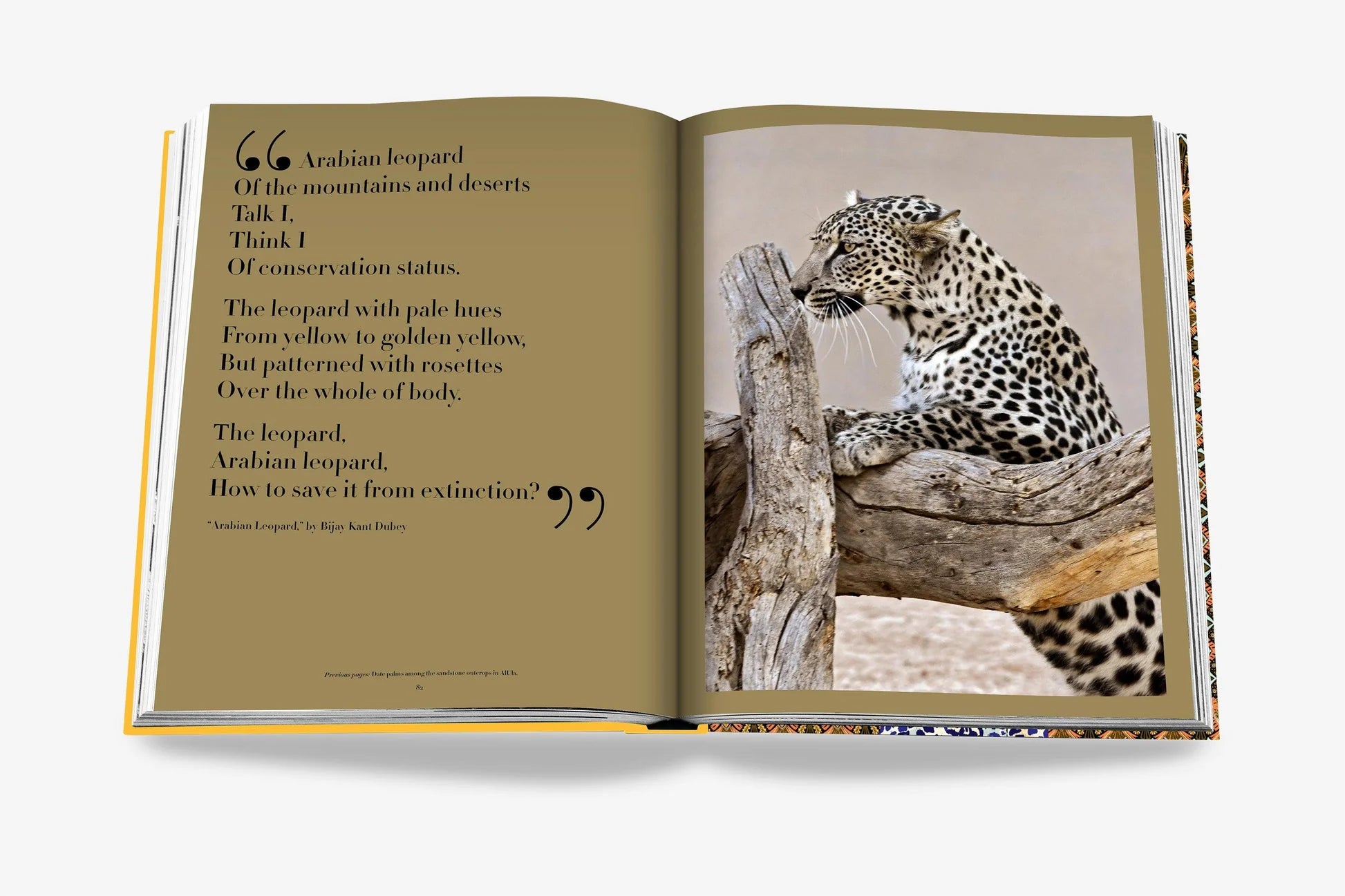 Arabian Leopard (Classic)