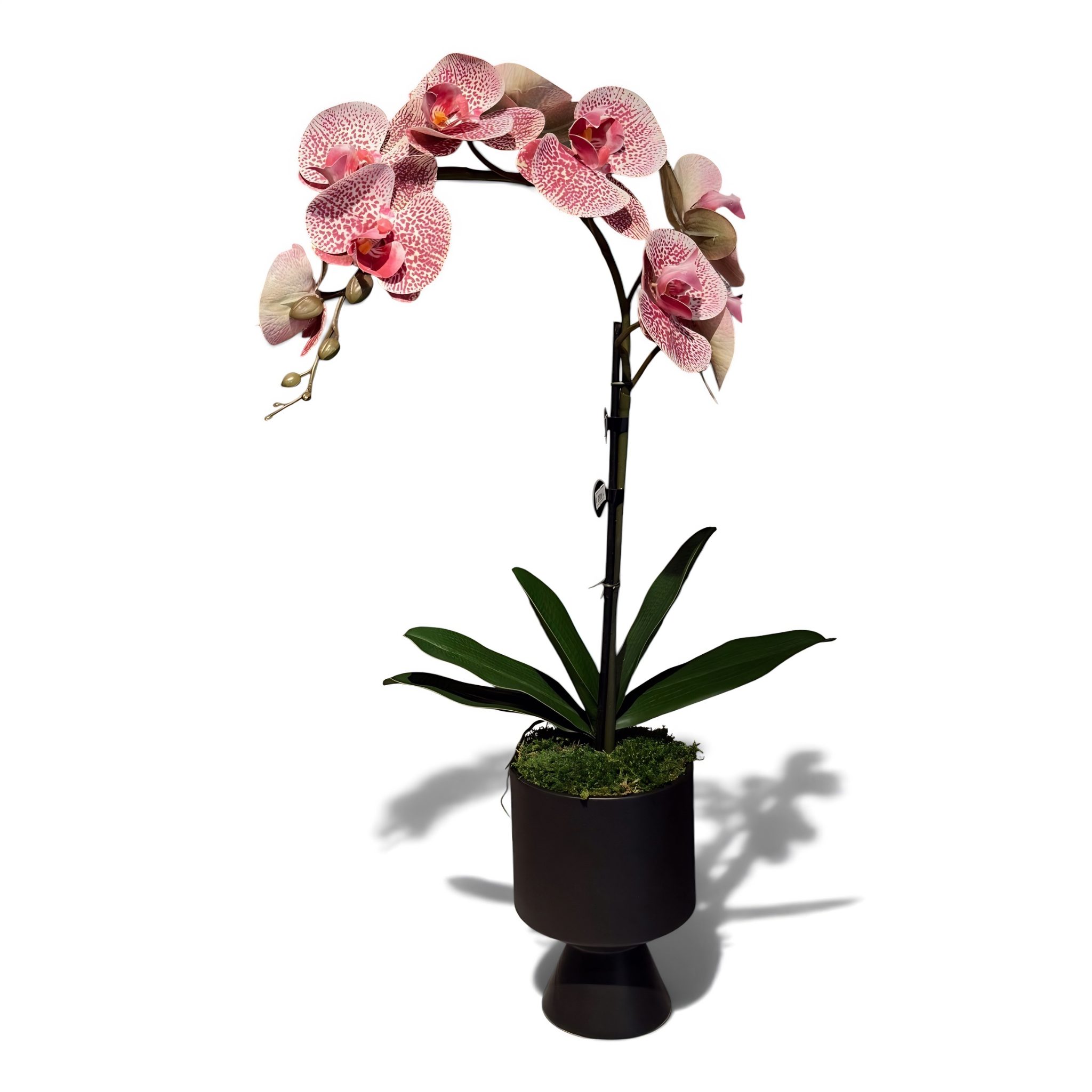 Orquidea real touch rosa