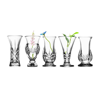Dublin Crystal 5 Piece Bud Vase Set