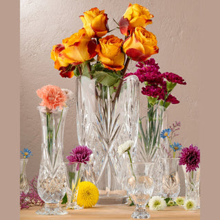 Dublin Crystal Bud Vase