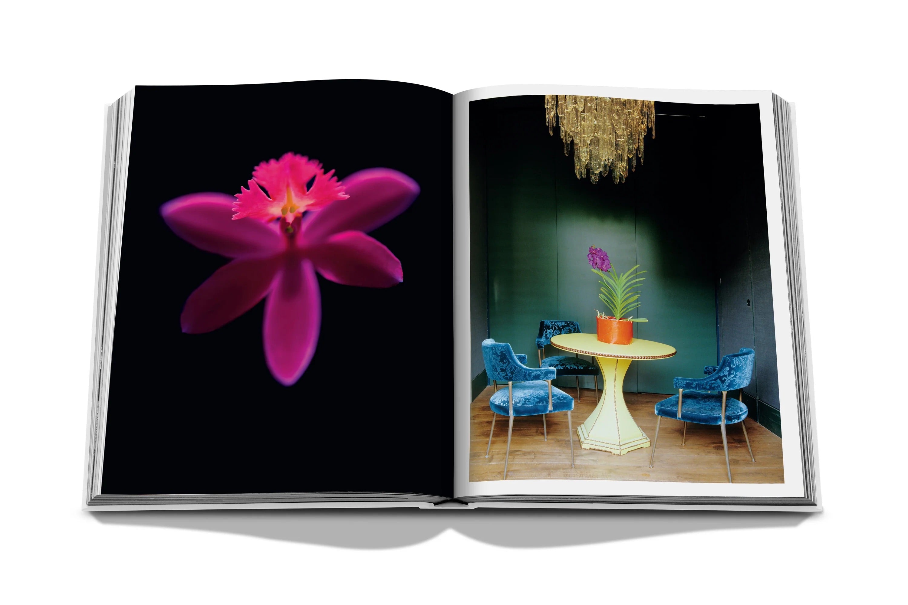 Flowers: Art & Bouquets