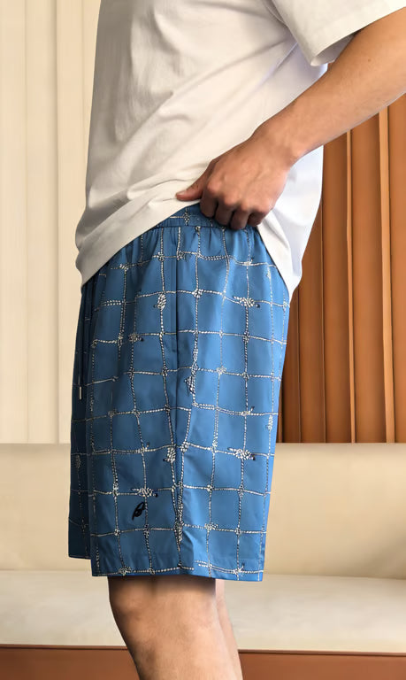Shorts Brioni -S