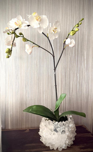 BOWL PUNTAS DE CUARZO CON ORQUIDEA