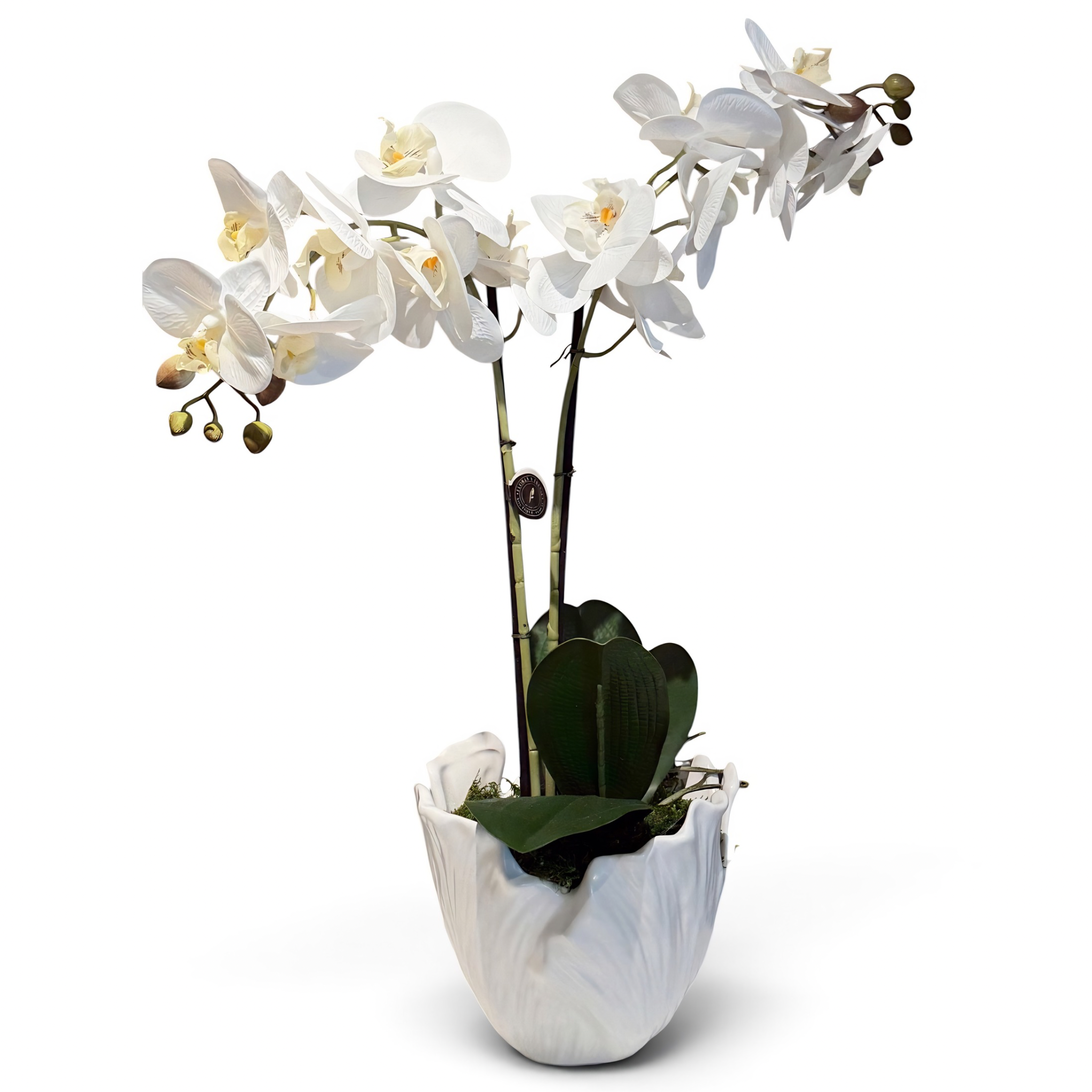 Orquidea doble real touch blanca