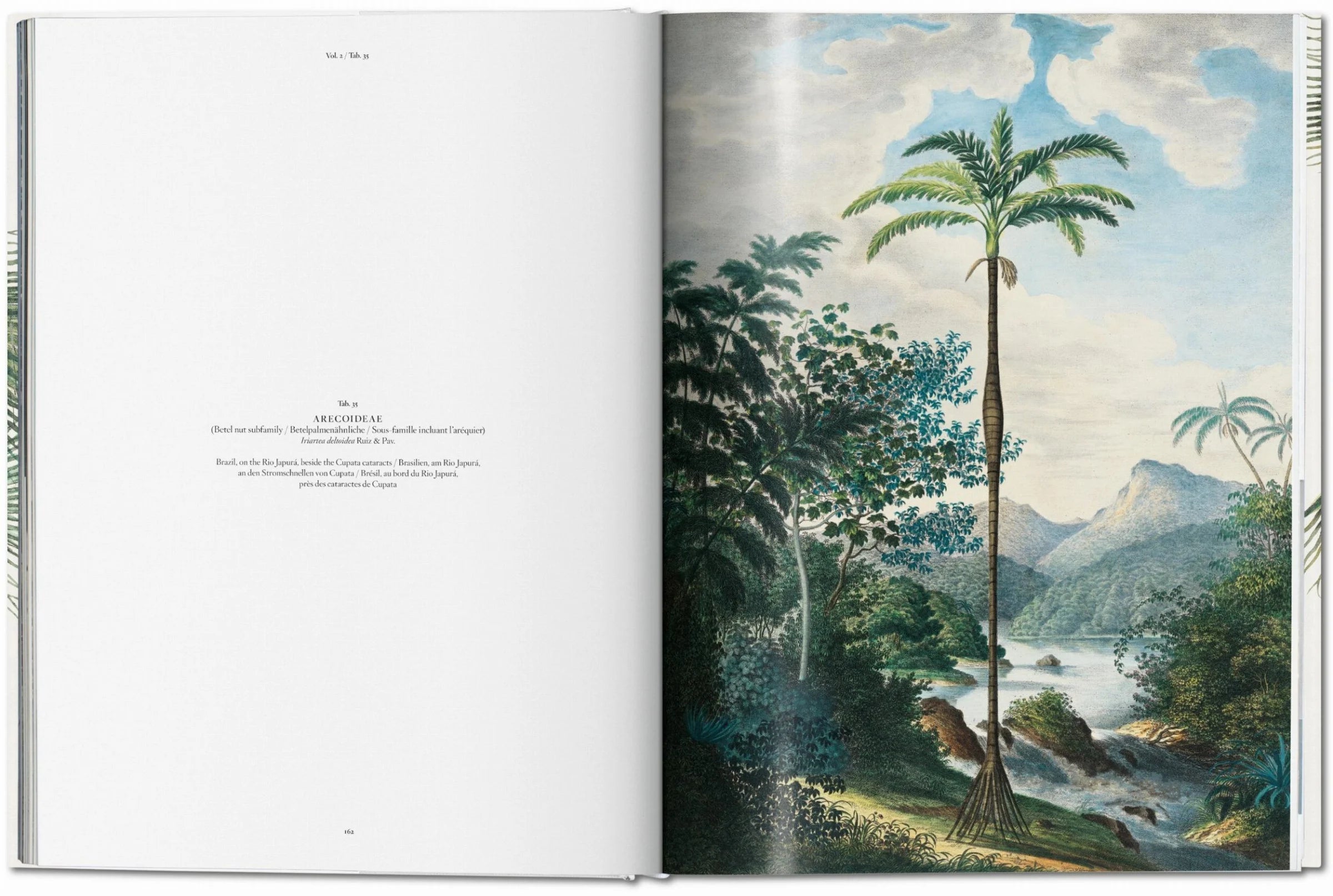 The book of Palms