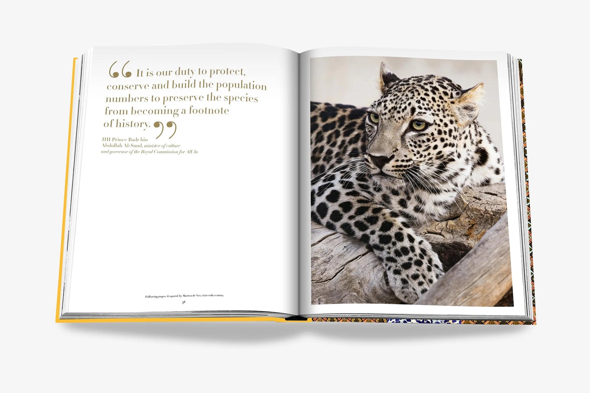 Arabian Leopard (Classic)