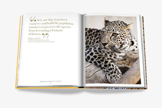 Arabian Leopard (Classic)