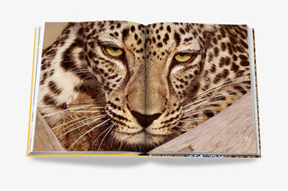 Arabian Leopard (Classic)