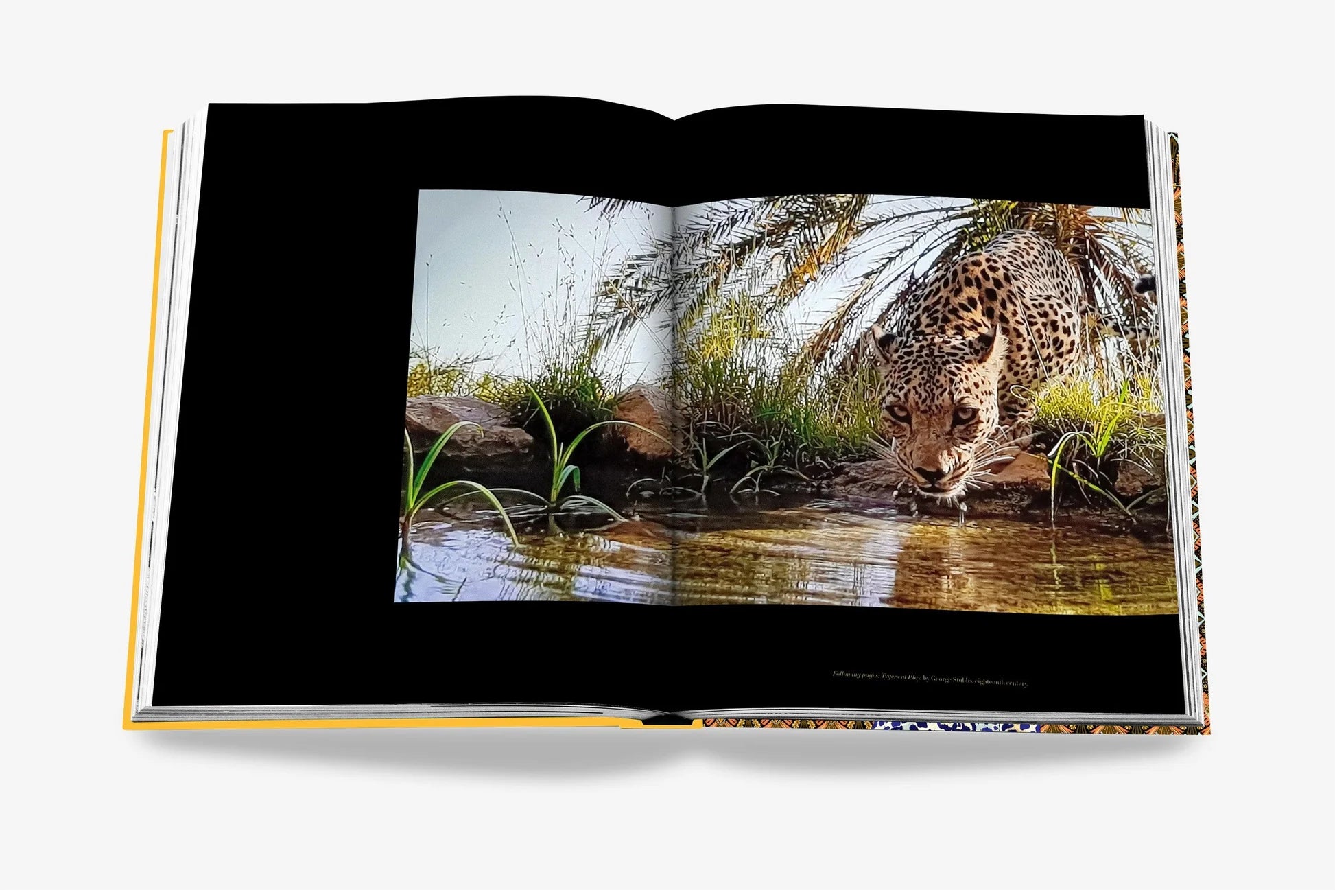 Arabian Leopard (Classic)
