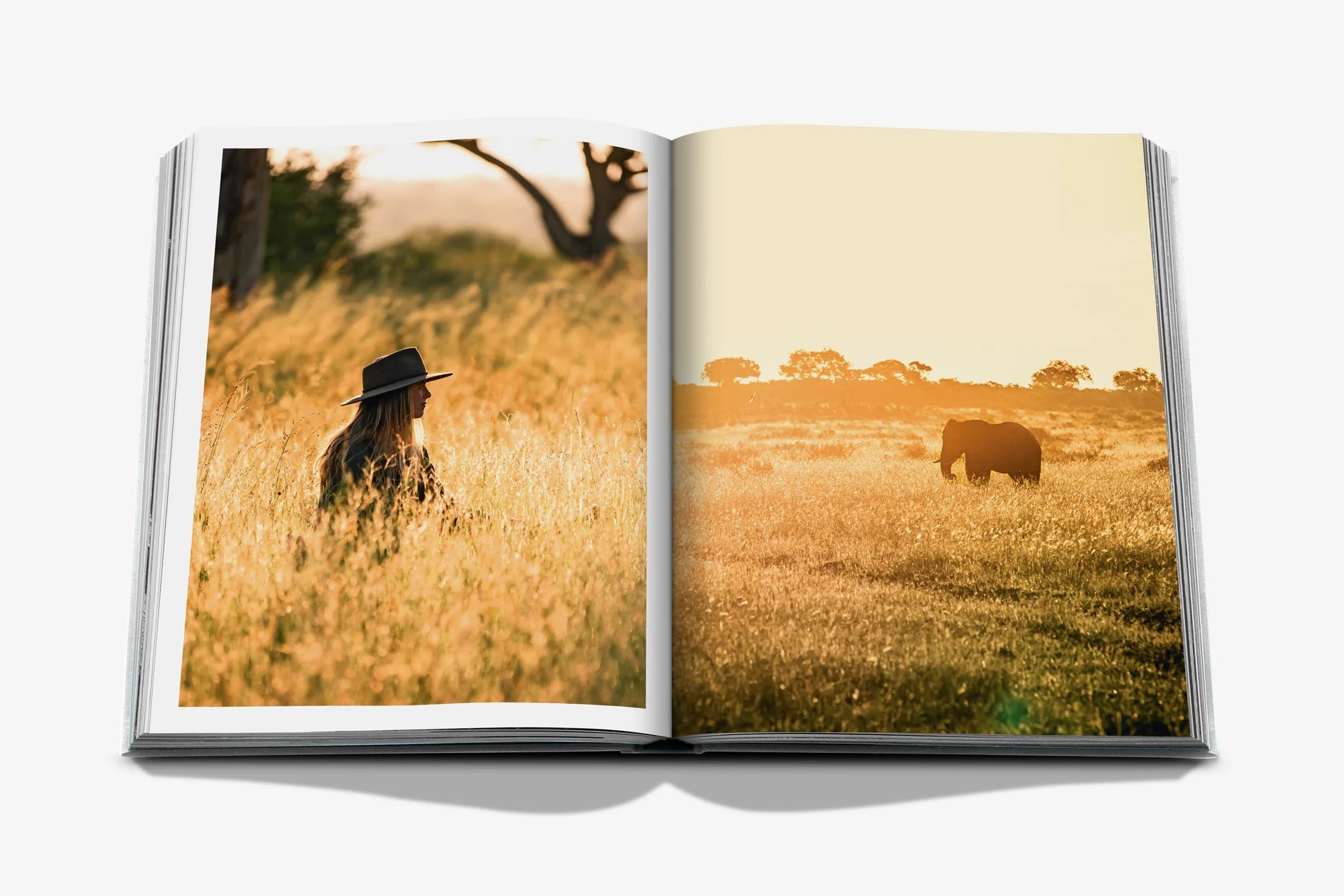 Londolozi: The Safari that Changed Everything
