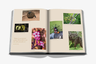 Londolozi: The Safari that Changed Everything