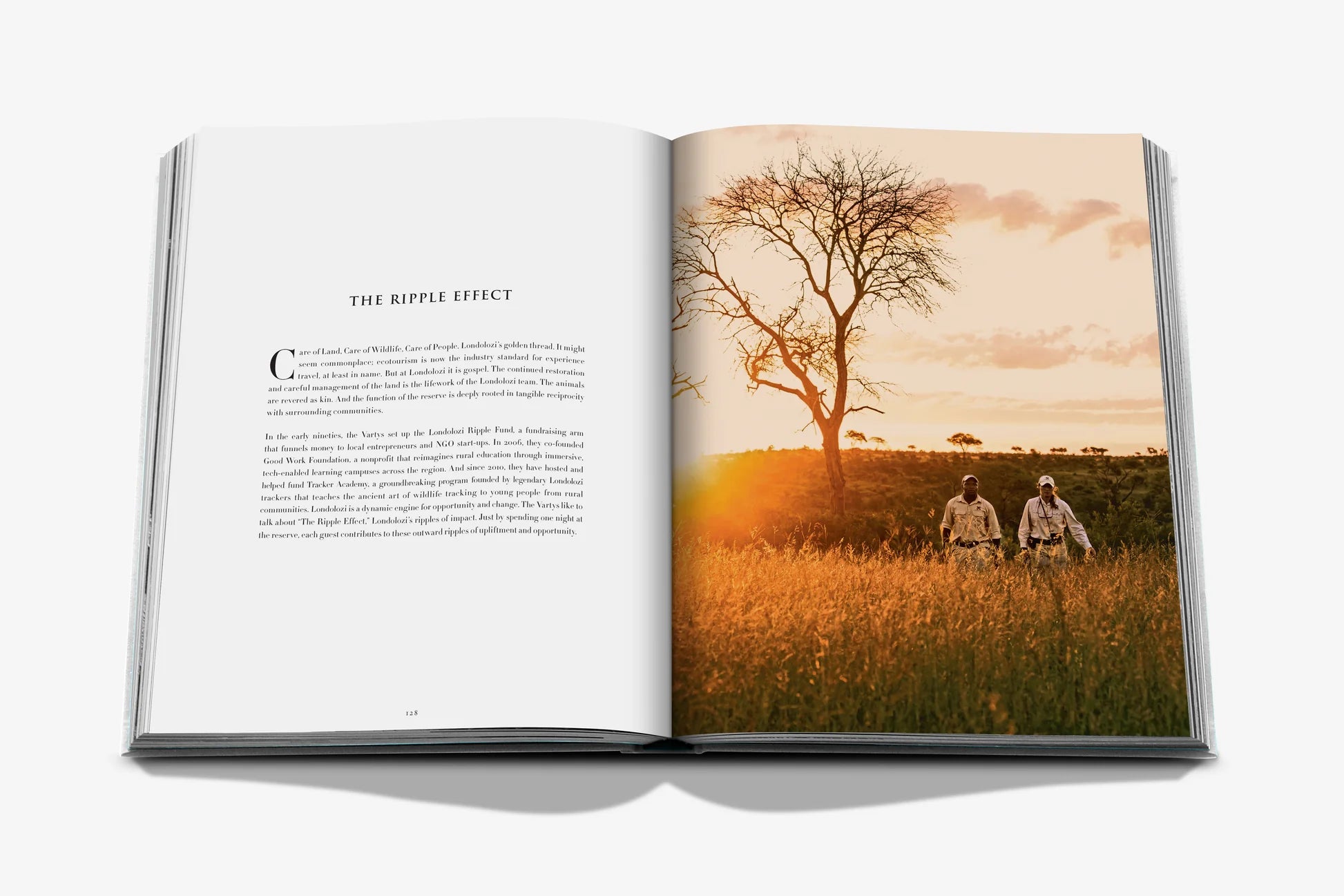 Londolozi: The Safari that Changed Everything