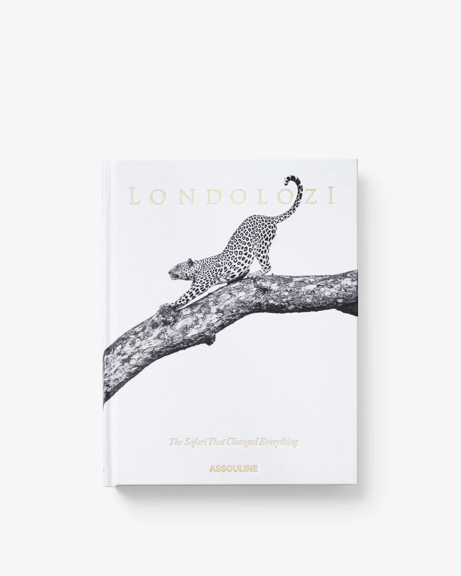 Londolozi: The Safari that Changed Everything