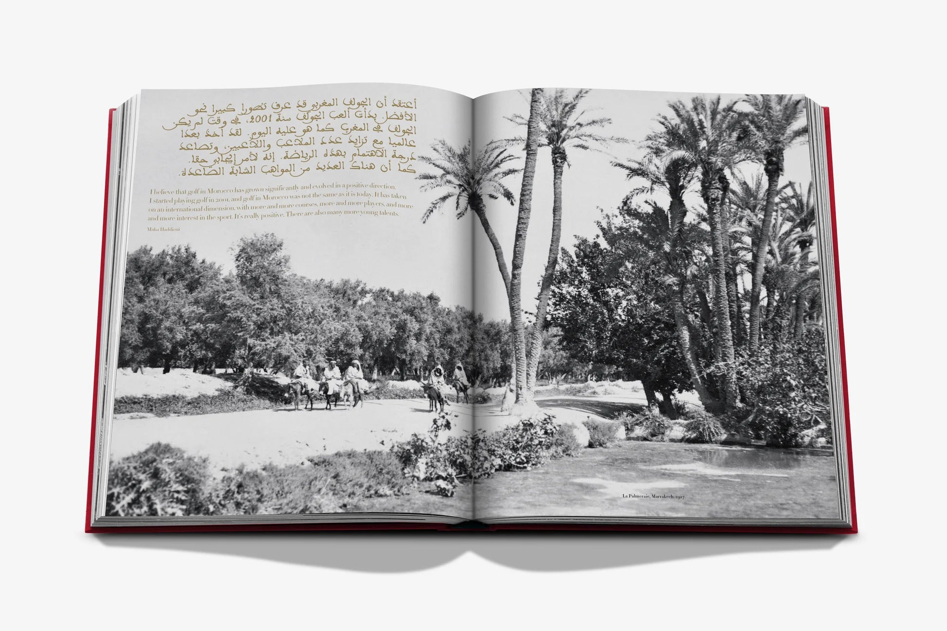 Morocco Kingdom of Golf