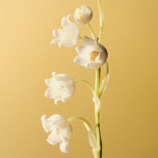 8 oz Grapefruit Classic Candle