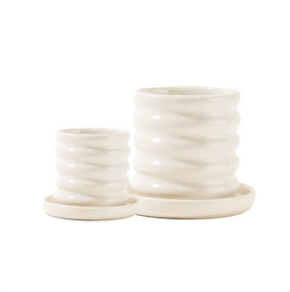 Set Maceta y Plato Fitonia Blanca