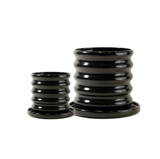 Set Maceta y Plato Fitonia Negra