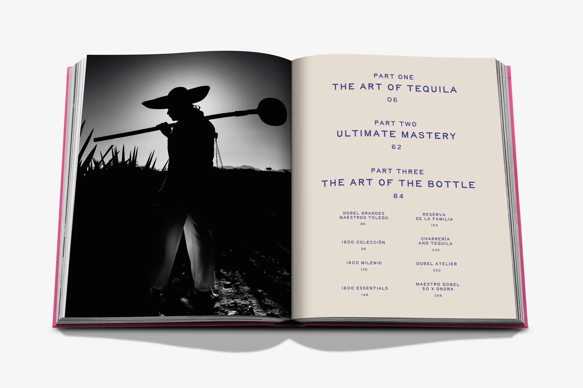 The Art of Tequila Spirit of Mexico