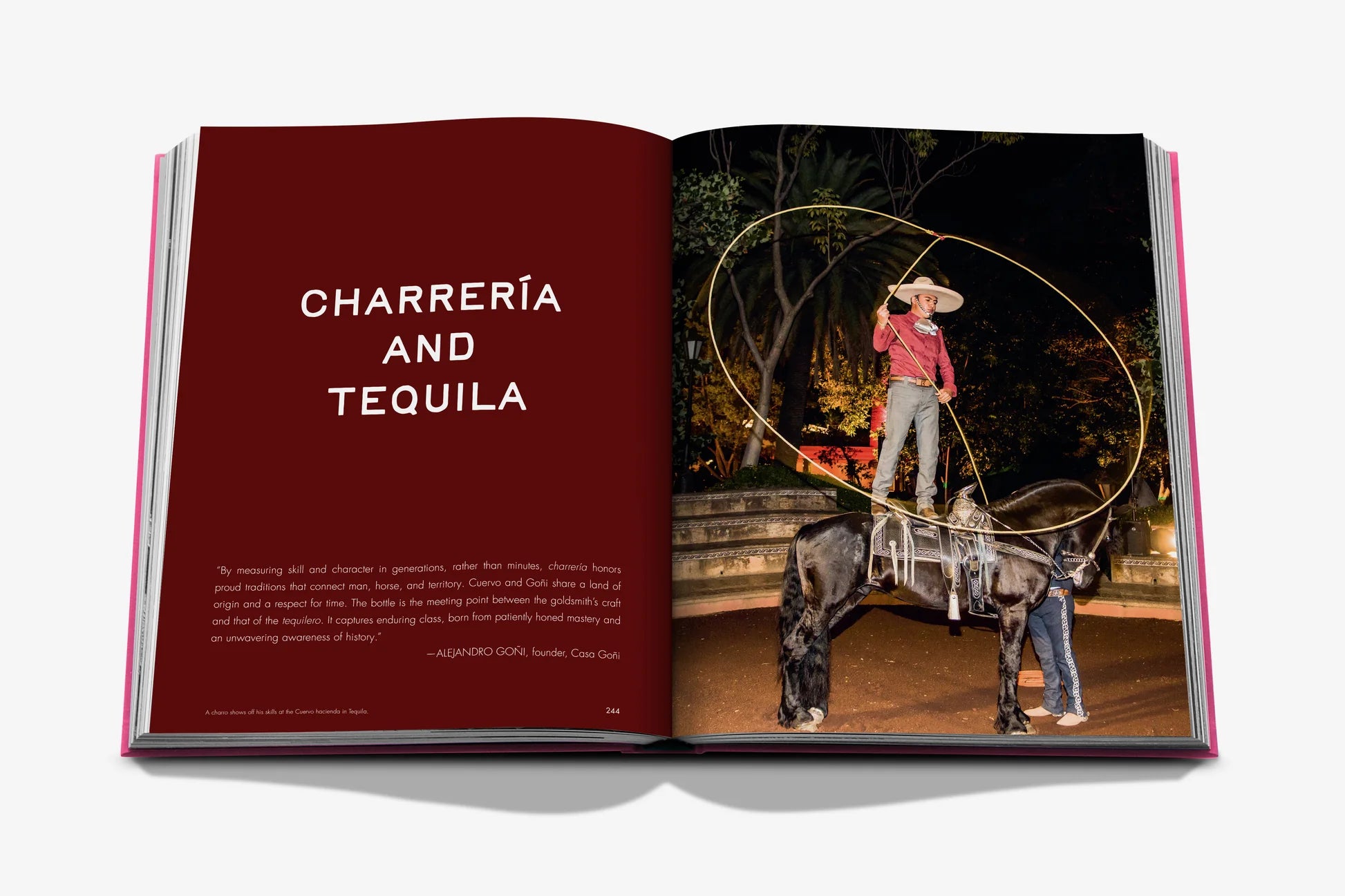 The Art of Tequila Spirit of Mexico