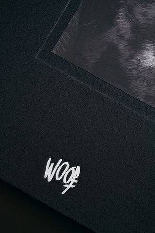WOOF