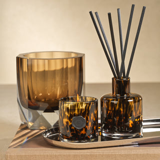 Reed Diffuser in gift Box - Cedar Leaf