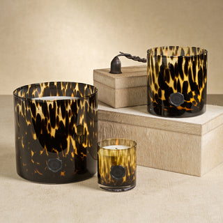 Apothecary Guild Opal Glass 5 Wick Candle Jar - Cedar Leaf