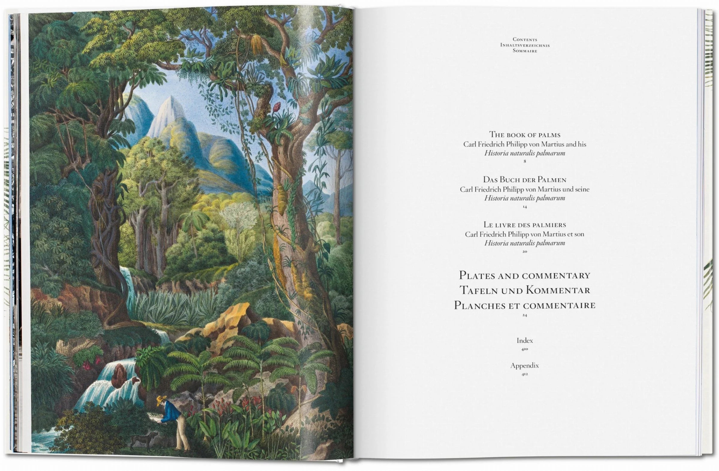 The book of Palms